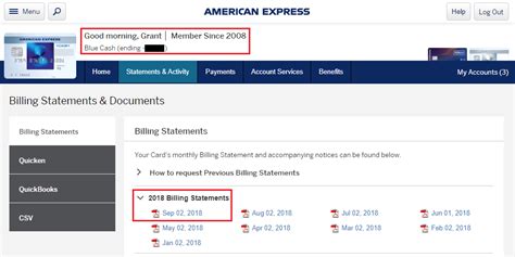 Missing American Express Credit Card Statements Online Check Amex App
