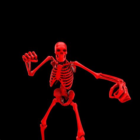 Funny Halloween  Halloween  Halloween Skeletons Animated Images