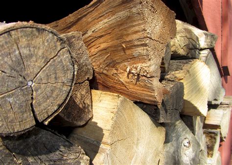 Best Wood To Burn In Fireplace Explained