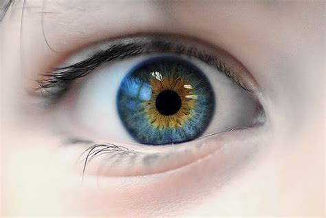 This article explains what the eye color is like in all conditions. i'm the princess | Fascinating Eyes | Pinterest ...