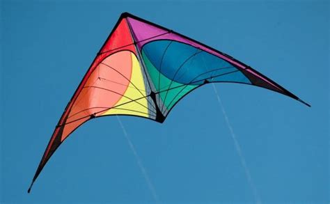 cerfvolant comme une hirondelle Bird Kite, Nexus, Wind Sock, Umbrella