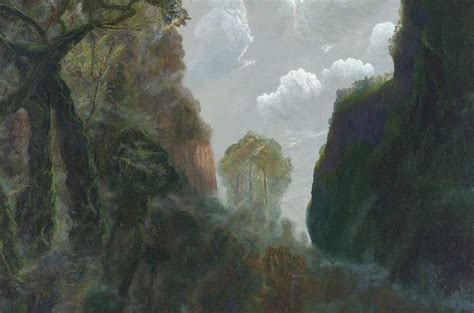 William Robinson Deconstructs Rainforest And Mist In Afternoon Light