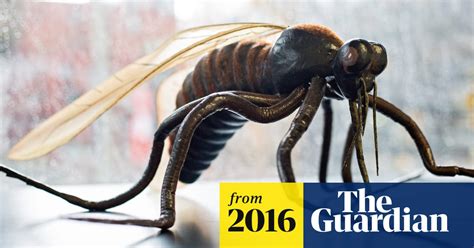 Us Investigates 14 Possible Cases Of Sexually Transmitted Zika Virus Zika Virus The Guardian