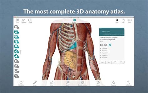Visible Body Human Anatomy Atlas 74 Computer Downtown Vancouver Tech