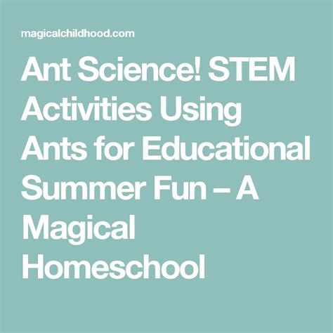 Ant Science Stem Activities Using Ants For Educational Summer Fun A