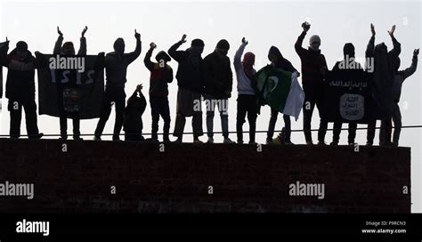 Srinagar Kashmir Th December Kashmiri Protesters Holds