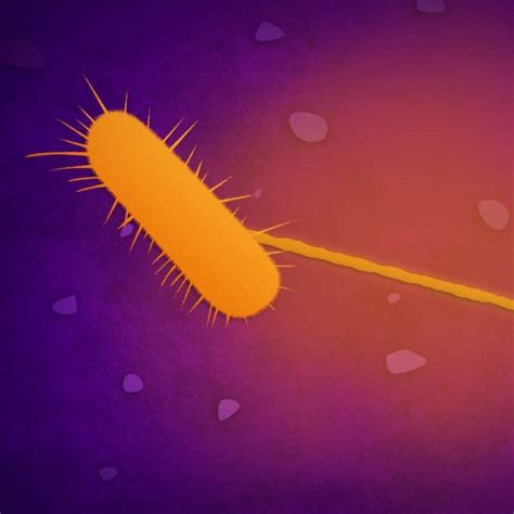 Bacterial Sex The Promiscuous Process Driving Antibiotic Resistance