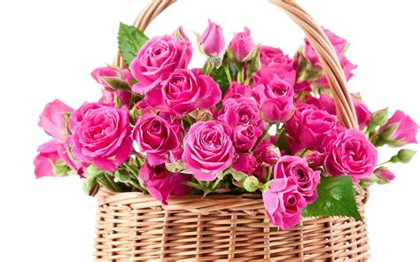 Bouquet Pink Beautiful Flowers Roses Wallpaper 1229x768