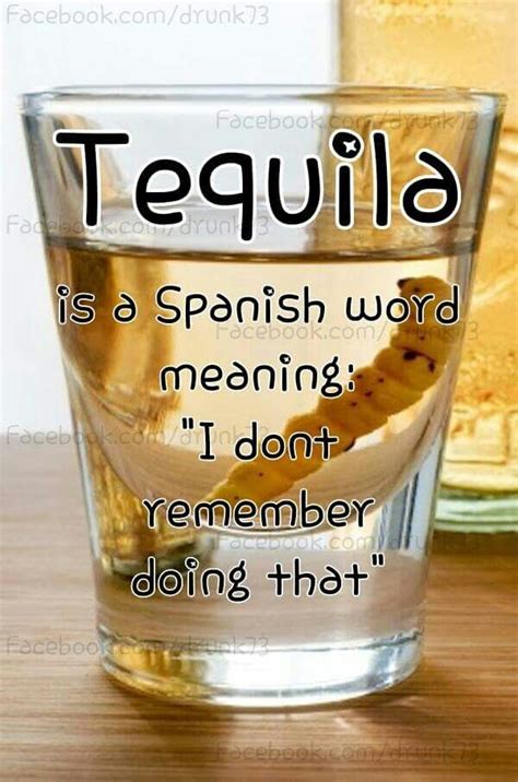 Tequila Tequila Quotes Funny Tequila Quotes Alcohol Humor