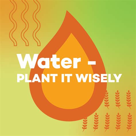 Fall Planting With Water Plant It Wisely Water Use It Wisely