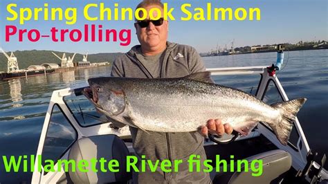 Spring Chinook Salmon Fishing Using Pro Troll Flashers And Spinners