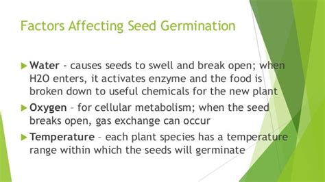 Unit 4 Lesson 44 The Seed