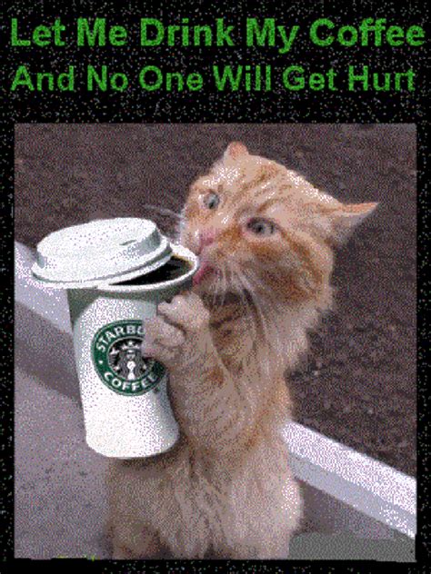 Mocha am i under control? Pin by Mel' Harris on Coffee Humour :D | Cat coffee, Need ...