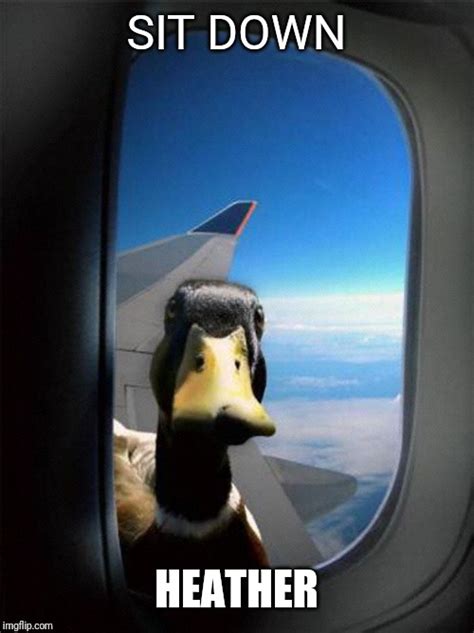 Airplane Duck Imgflip