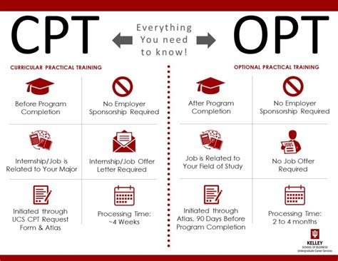 Cpt Vs Opt Everything You Need To Know Kelleyconnect Kelley School