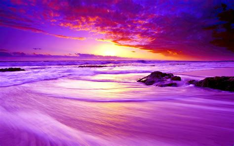Purple Beach Sunset 4k Hd Nature 4k Wallpapers Images