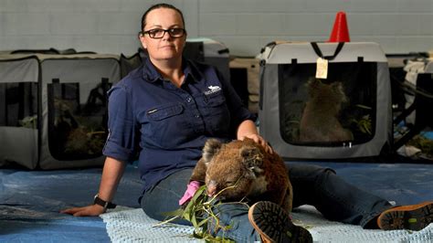 Adelaide Koala Rescue To Move Into Former Pirsa Research Facility In