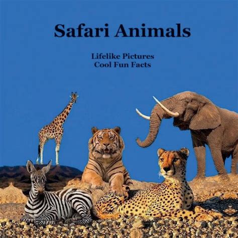 Safari Animals Kids Book With Lifelike Pictures Great Way For Kids To