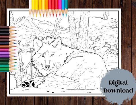 Realistic Wolf Coloring Page For Adults Printable Colouring Book