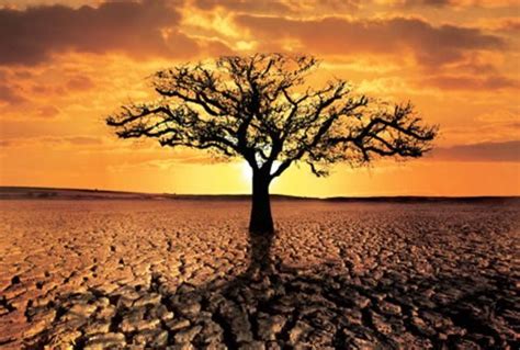 Dia Mundial De Combate à Desertificação E à Seca 17 De Junho Datas Importantes Para Salvar O