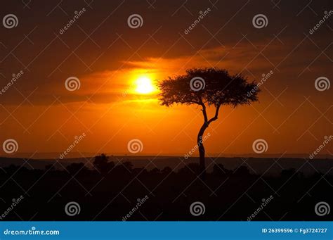 Sunset On The Savanna Stock Photo Image Of Mara Orange 26399596