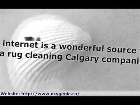 Area Rug Cleaning Calgary Rug Cleaning Tips YouTube