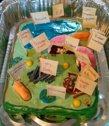 Science Project The Edible Plant Cell Cake Edible Cell Project Plant