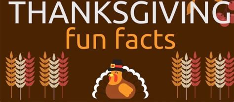 Fun Facts About Thanksgiving Infographic