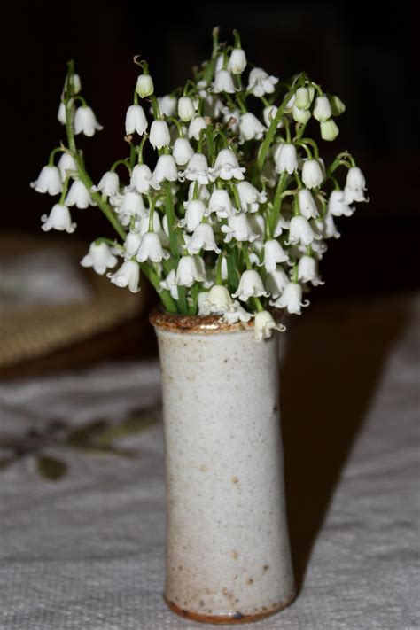 Lily Of The Valley White Flowers In Vase Picture Free Photograph