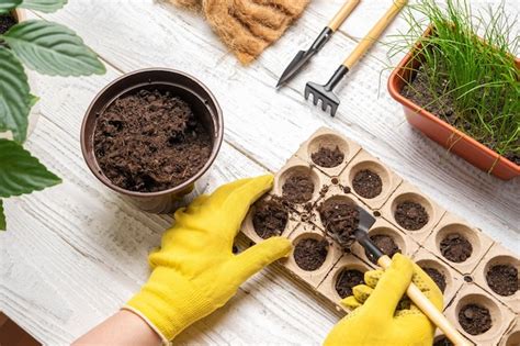 Jardinero Plantando Flores Manos Femeninas Trabajando Con Suelo Macetas