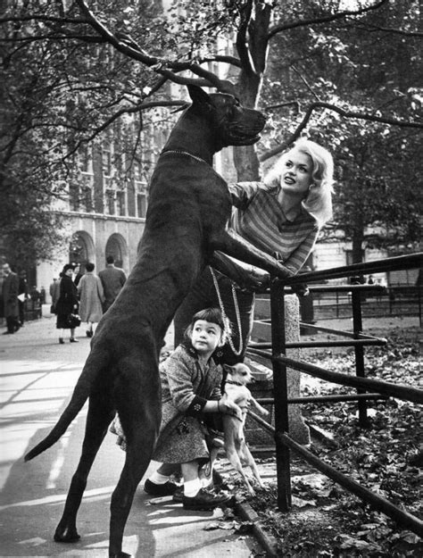 30 Vintage Photographs Of Jayne Mansfield With Her Beloved Dogs In The