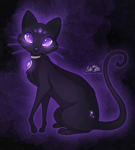 Pin Von Janie Hansard Auf For The Love Of Purple Schwarze Katze