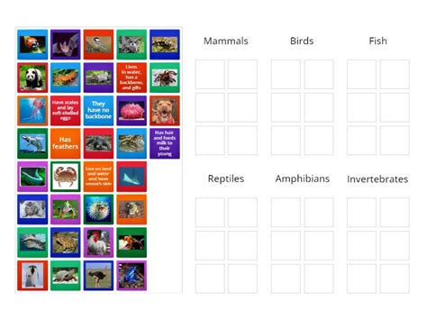 6 Types Of Animals Group Sort