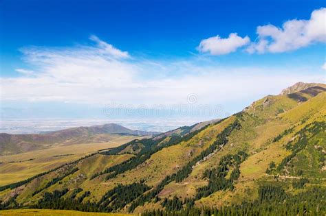 Mountain Summer Landscape Snowy Mountains And Green Grass Stock Image