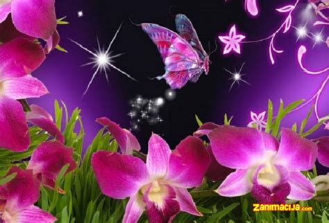 Priroda 3d Slike Za Pozadinu Leptiri I Cveće