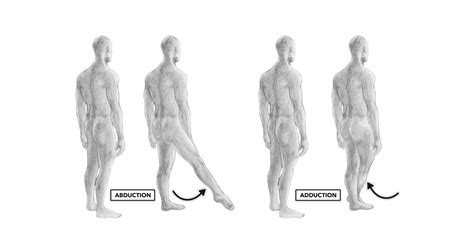 Maybe you would like to learn more about one of these? CrossFit | Movement About Joints, Part 5: The Hip