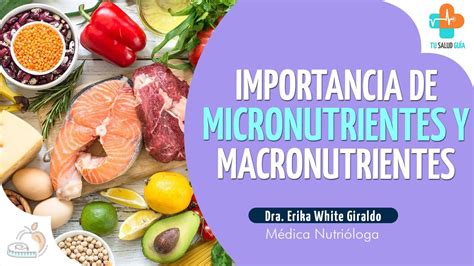 Importancia De Los Macronutrientes Y Micronutrientes Tu Salud Guía