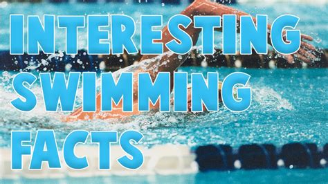 Interesting Swimming Facts Youtube