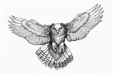 Flying Owl Sketch At Explore Collection Of Flying