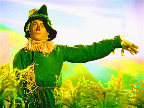 The Wizard Of Oz Scarecrow El Mago De Oz Fan Art Fanpop