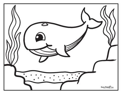 Printable Whale Coloring Page Book Pdf Whale Coloring Pages - Riset
