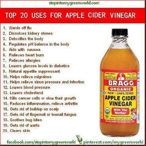 While there have not been many studies directly on acv and weight apple cider vinegar will even clean your toilets and leave your bathroom smelling like apples. Apple Cider Vinegar: No Home Should Be Without It! - Self ...