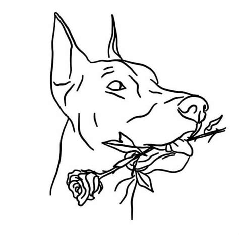 Easy Doberman Drawings Image Coloring Home