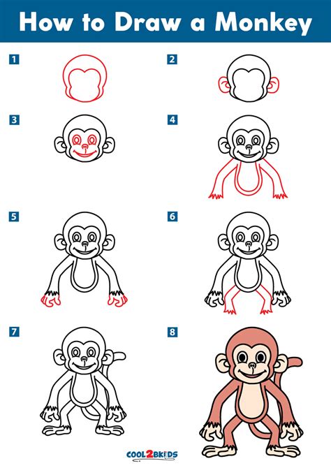 Monkeys Drawings Step By Step