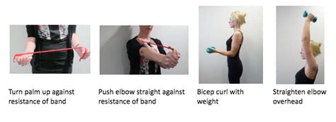 Elbow Exercises Hand Therapy Group