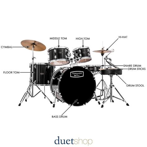 Anatomy Of A Drum