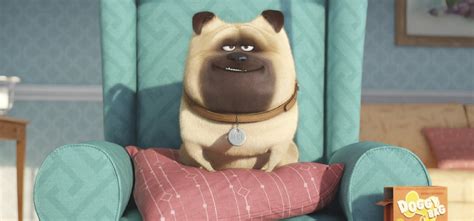 THE SECRET LIFE OF PETS Trailer, Images and Posters | The Entertainment Factor