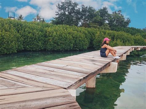 Hutan Mangrove Cantik di Jakarta dan Bekasi, Lokasi Ngadem untuk