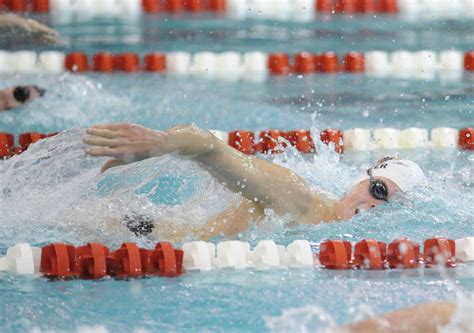 Greenwich As Usual Reigns In Fciac Swimming