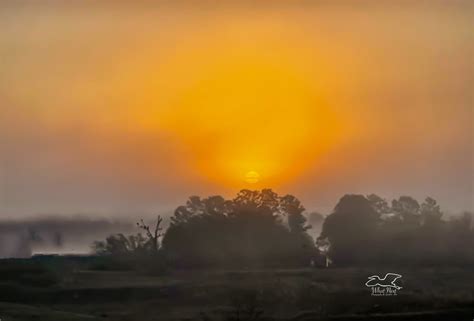 A Foggy Morning Can Make For A Great Sunrise What Next Photography
